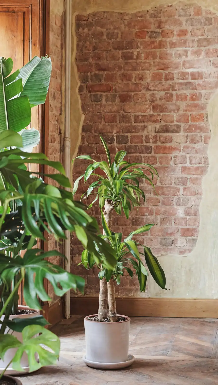 plant pot with brick and tile drainage layer