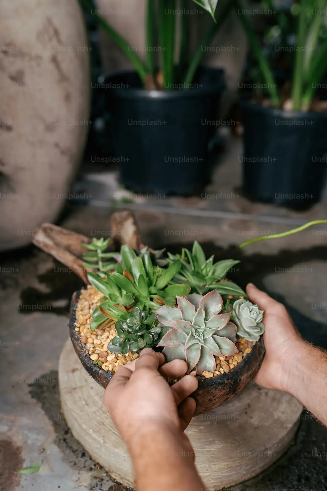 person checking plant pot drainage holes