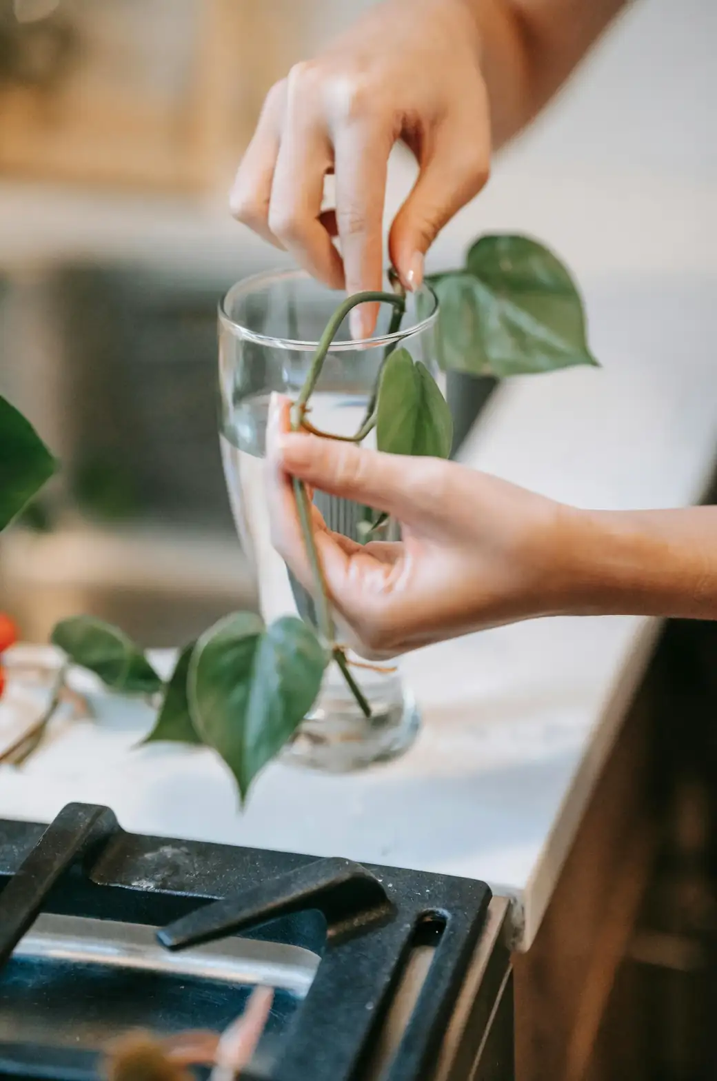 cutting propagation setup