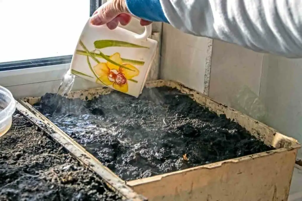 soil sterilization boiling water