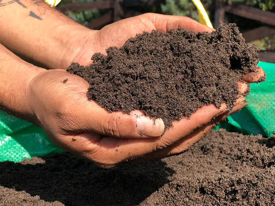 compost mixing with soil