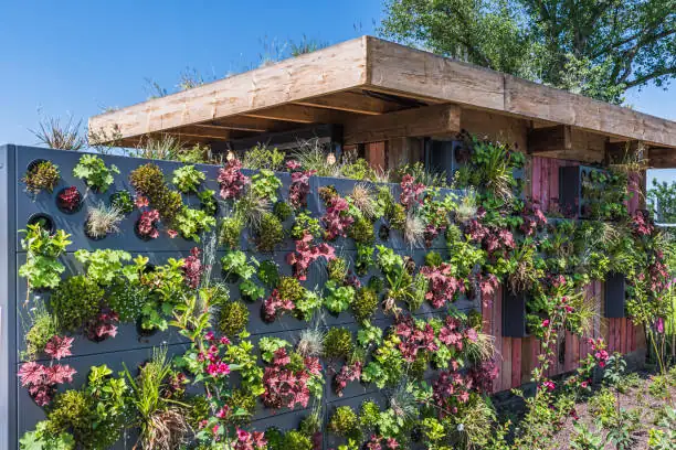 mixed height flower garden design