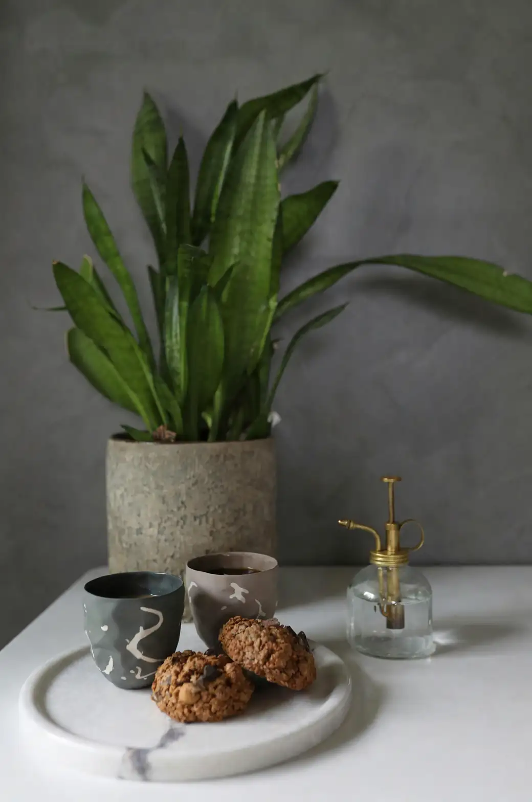 ceramic plant pot indoor