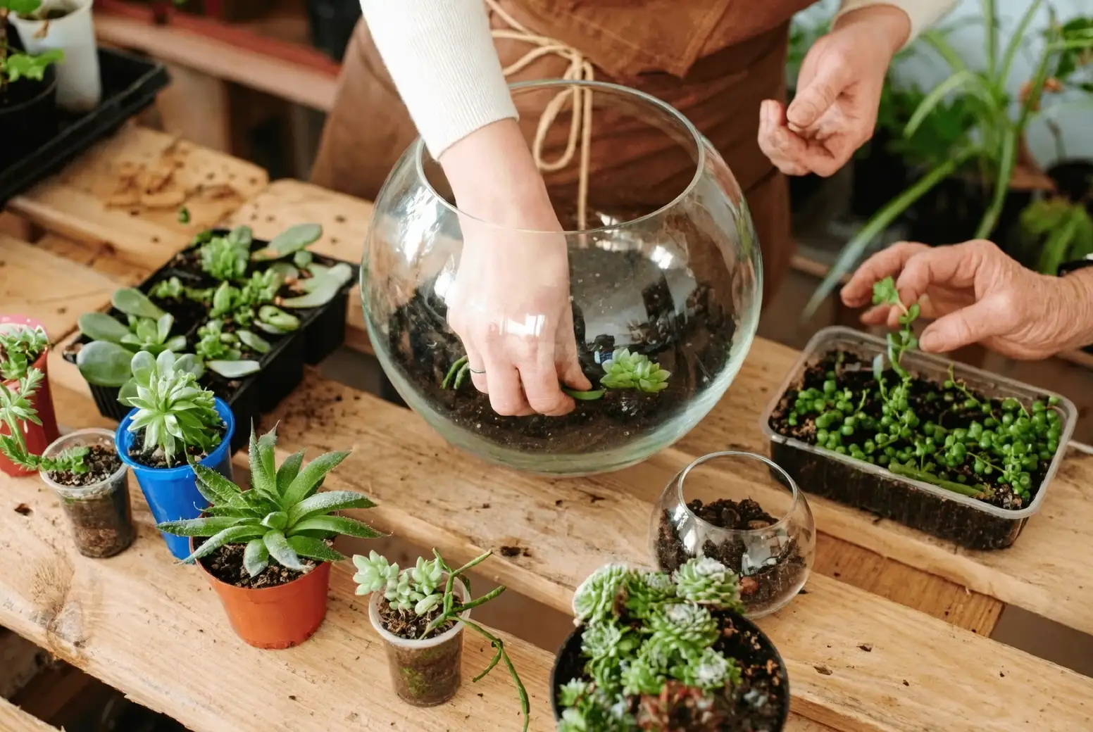 choosing plant pot size