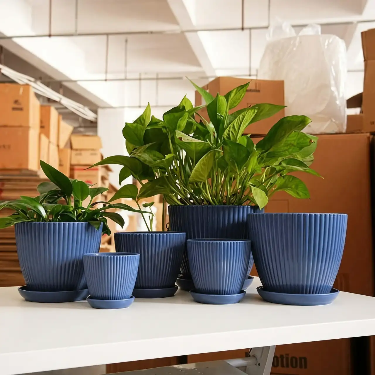 indoor plant arrangement plastic pots