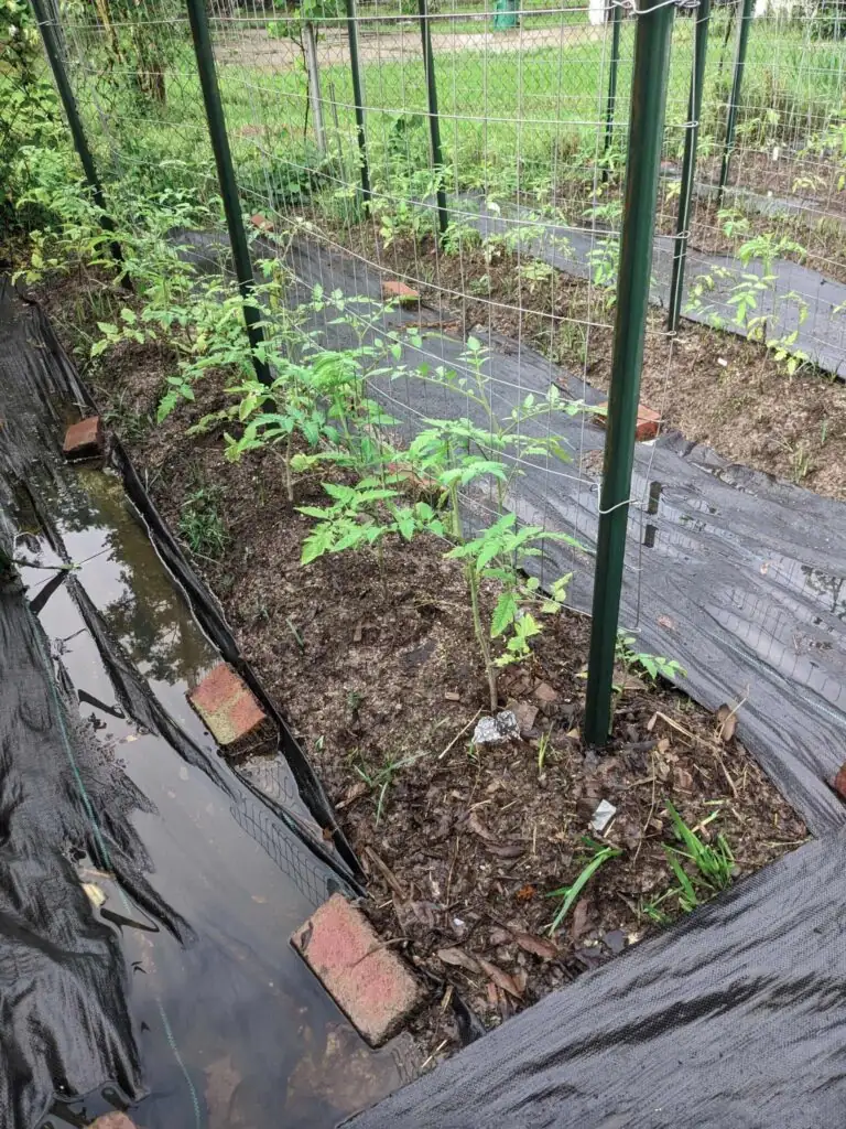 自制花盆排水层：碎石和陶粒的完美搭配