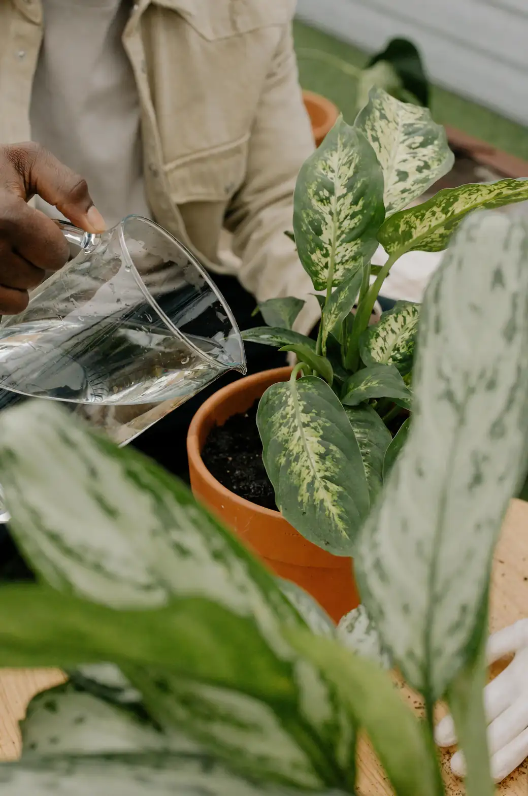 layered drainage in plant pot