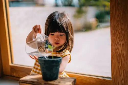 watering potted plant hands