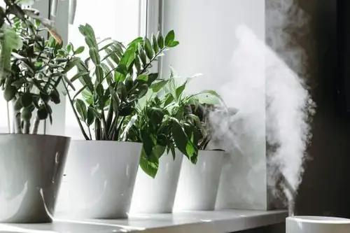 humidifier near potted plant