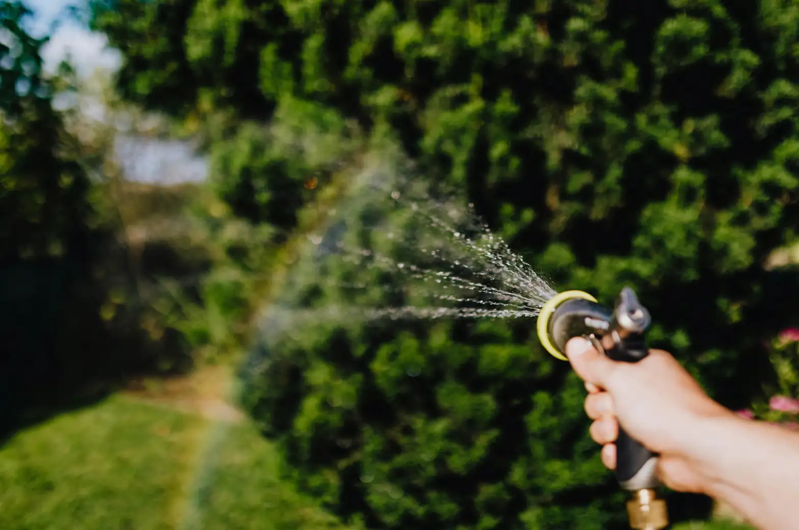 washing plant leaves garden hose