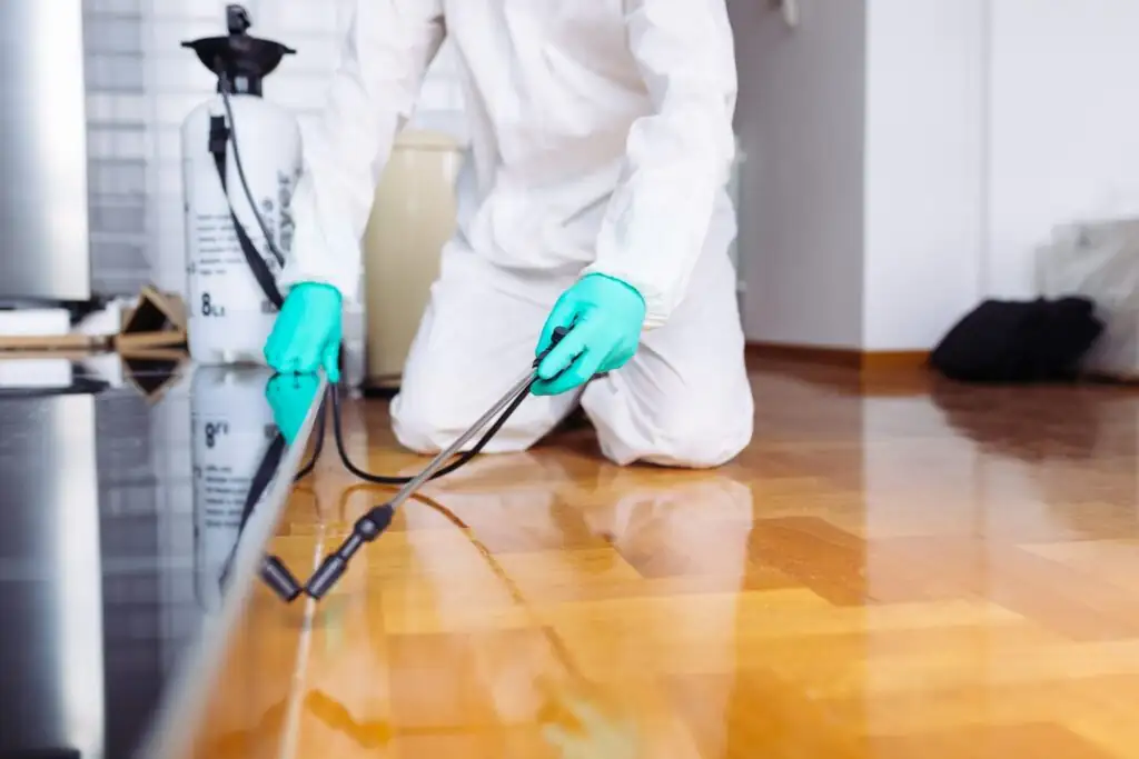 ventilating room after insecticide use