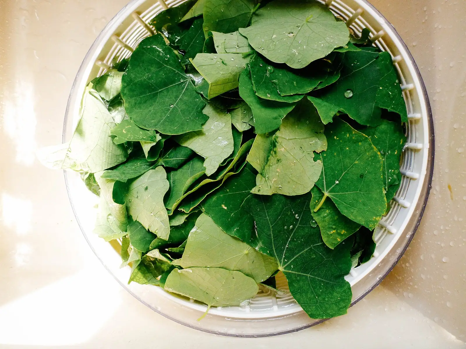 nasturtium stir-fry dish