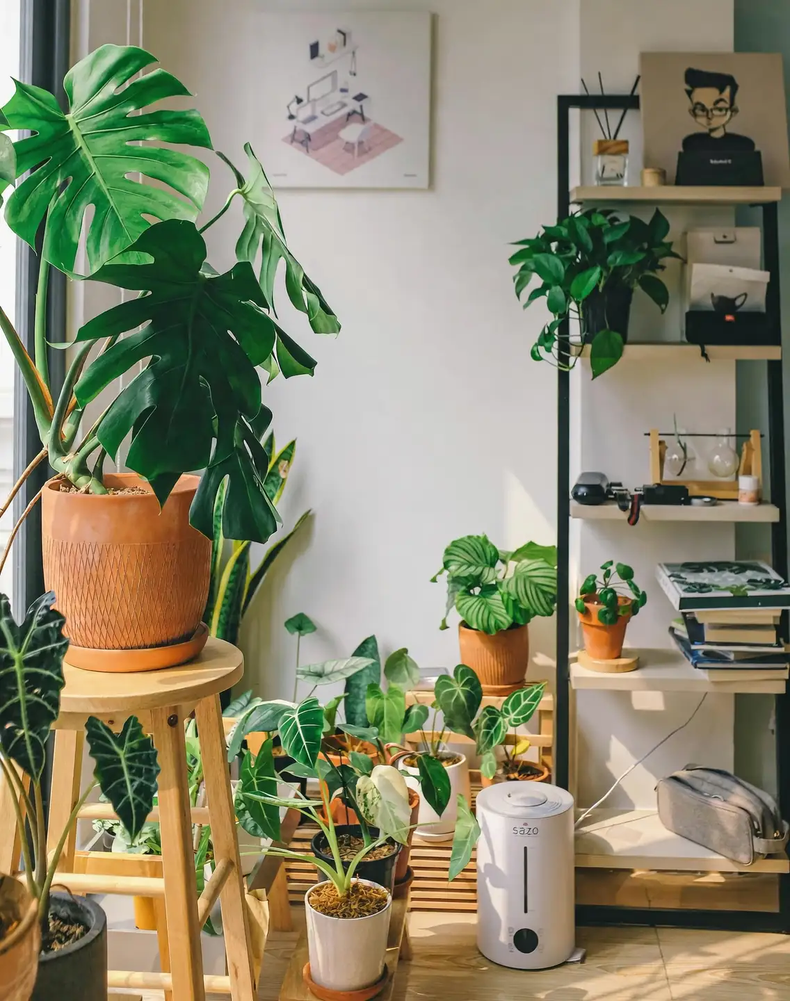 variety of plant pots with drainage