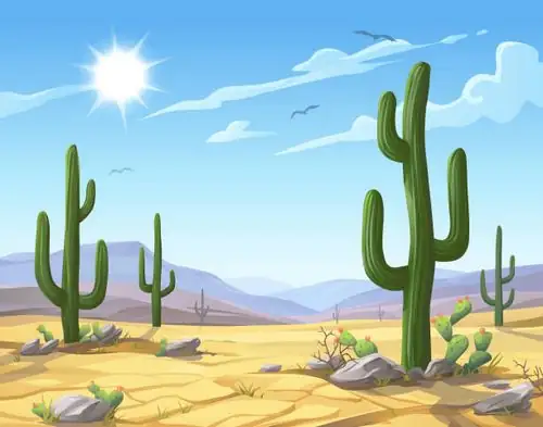 Mexican desert landscape