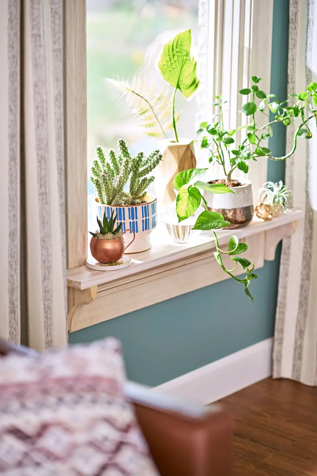 open window with plants
