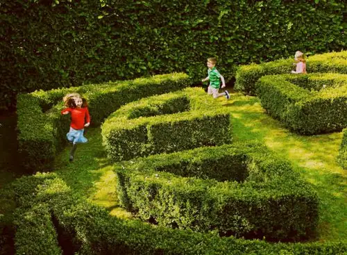 children plant maze garden