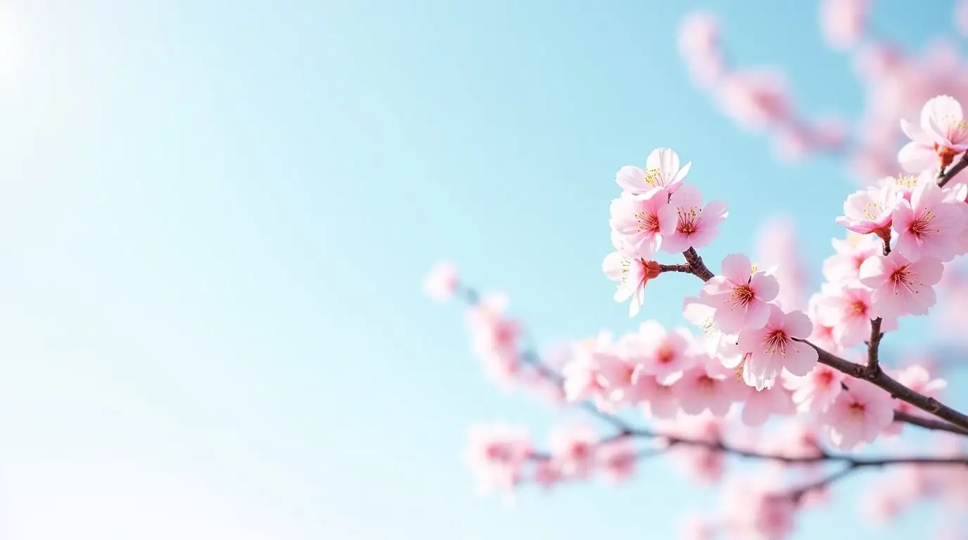 cherry blossom seed germination