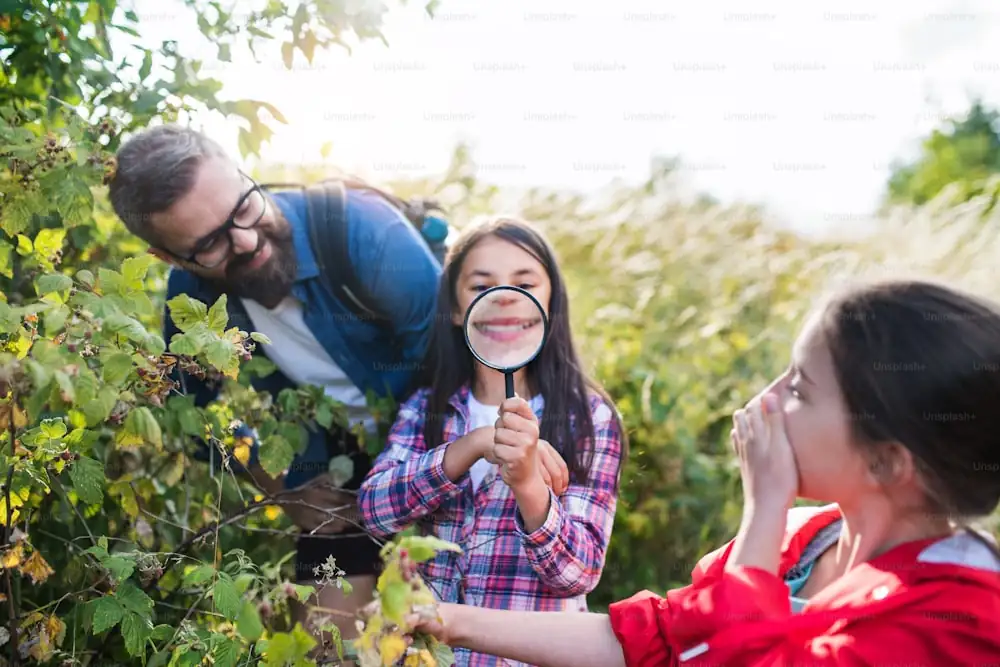 children using magnifying glass on plants
