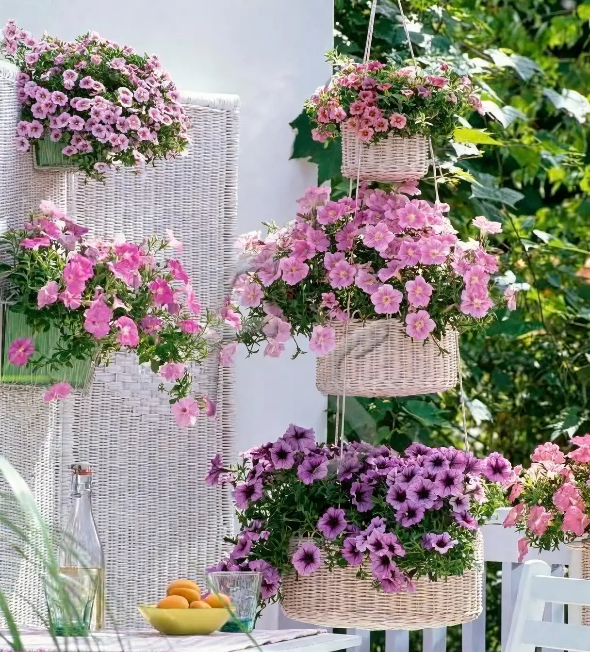 hanging petunia basket porch