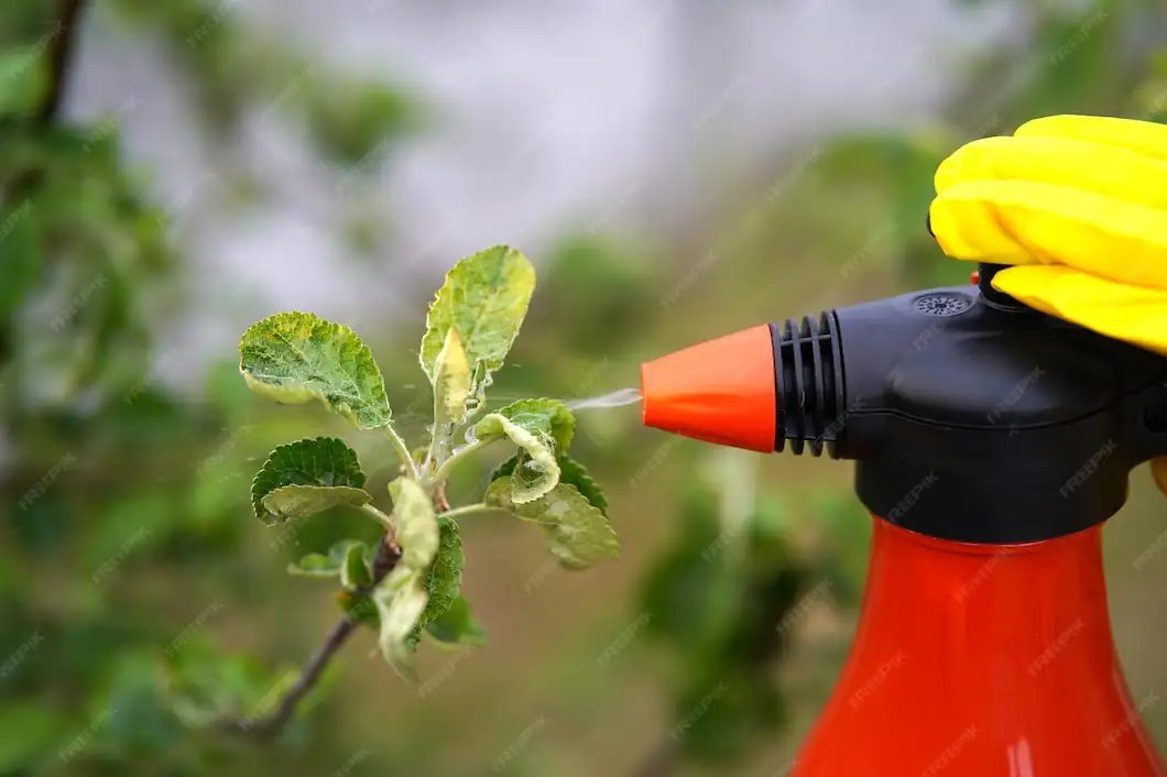 春季护绿宝典：防治植物病虫害的实用技巧