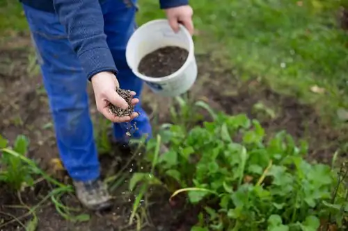 organic fertilizer application in garden