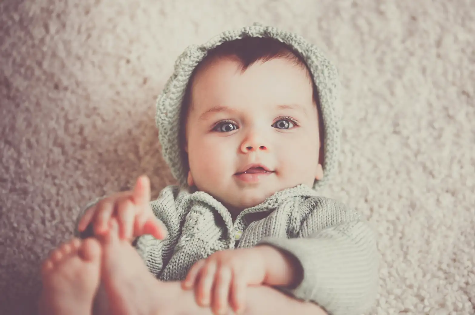 baby's tears plant carpet