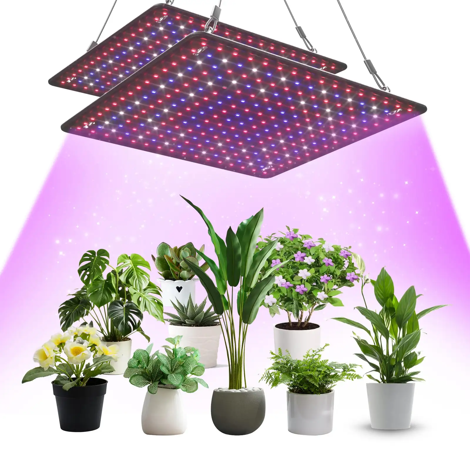 red blue spectrum grow light