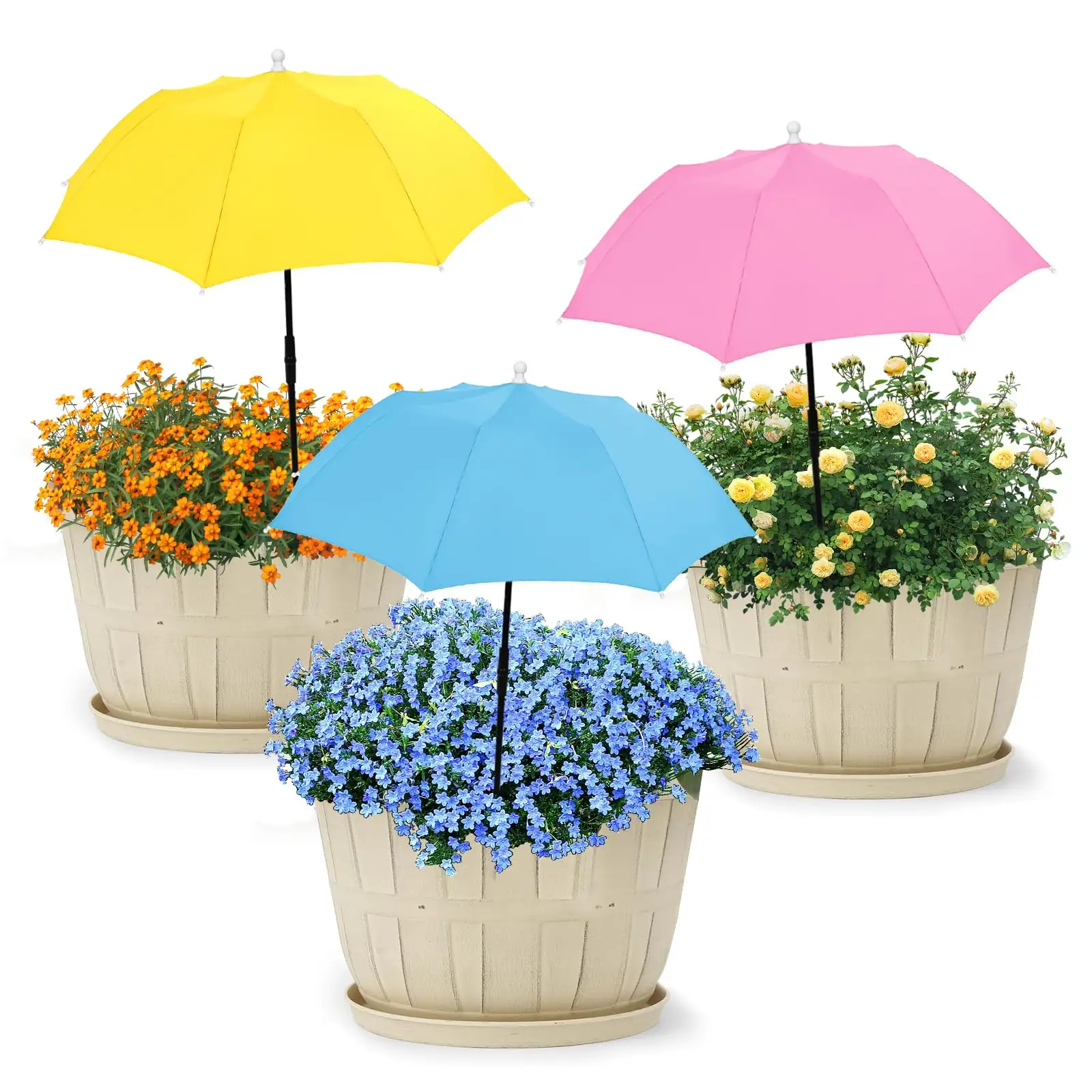 indoor plant sunlight protection