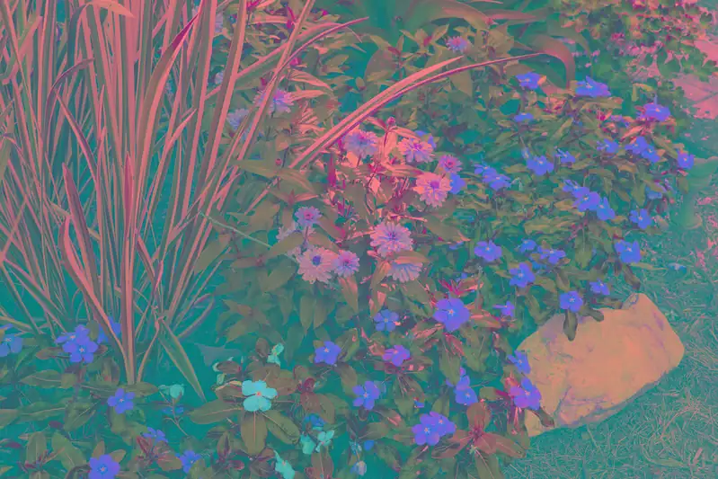 layered garden with vinca and lilies