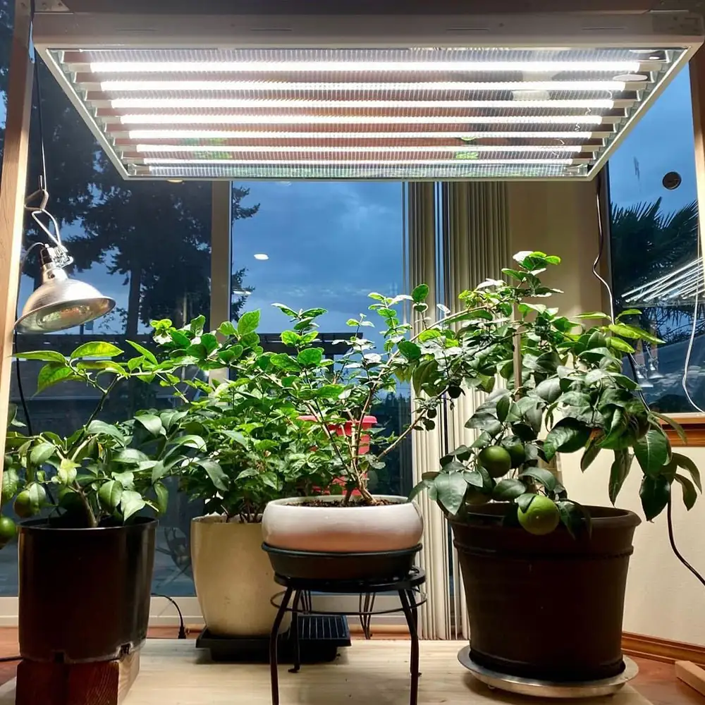 掌握植物补光灯：如何看懂光谱参数？