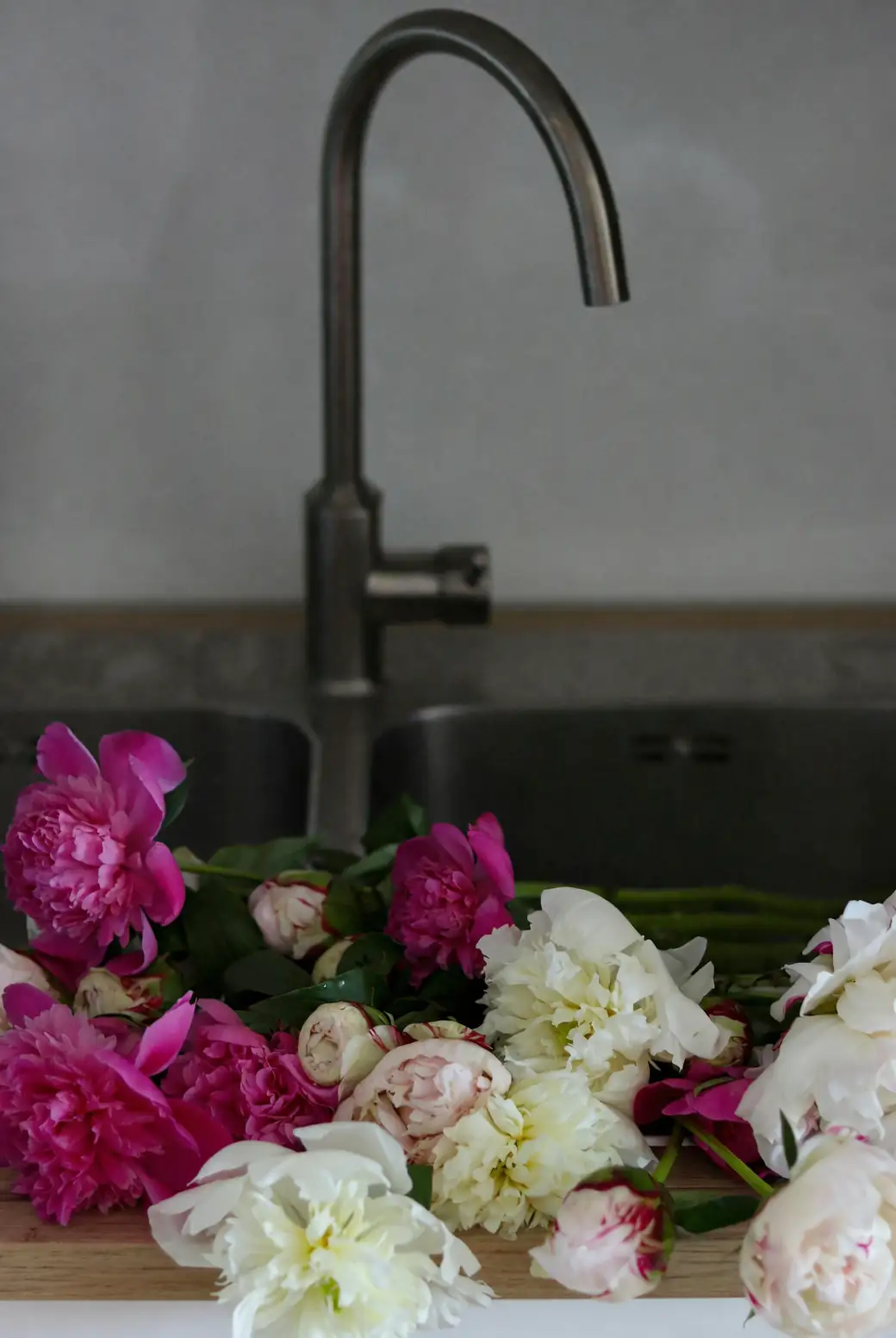 variety of peony colors