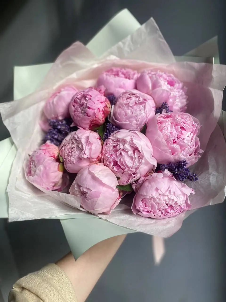 peony with lavender flowers