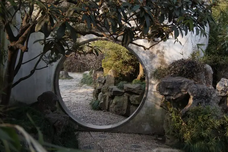 holly in traditional Chinese garden