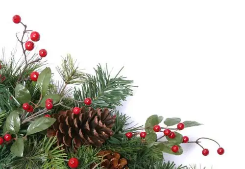 holly berries festive decoration