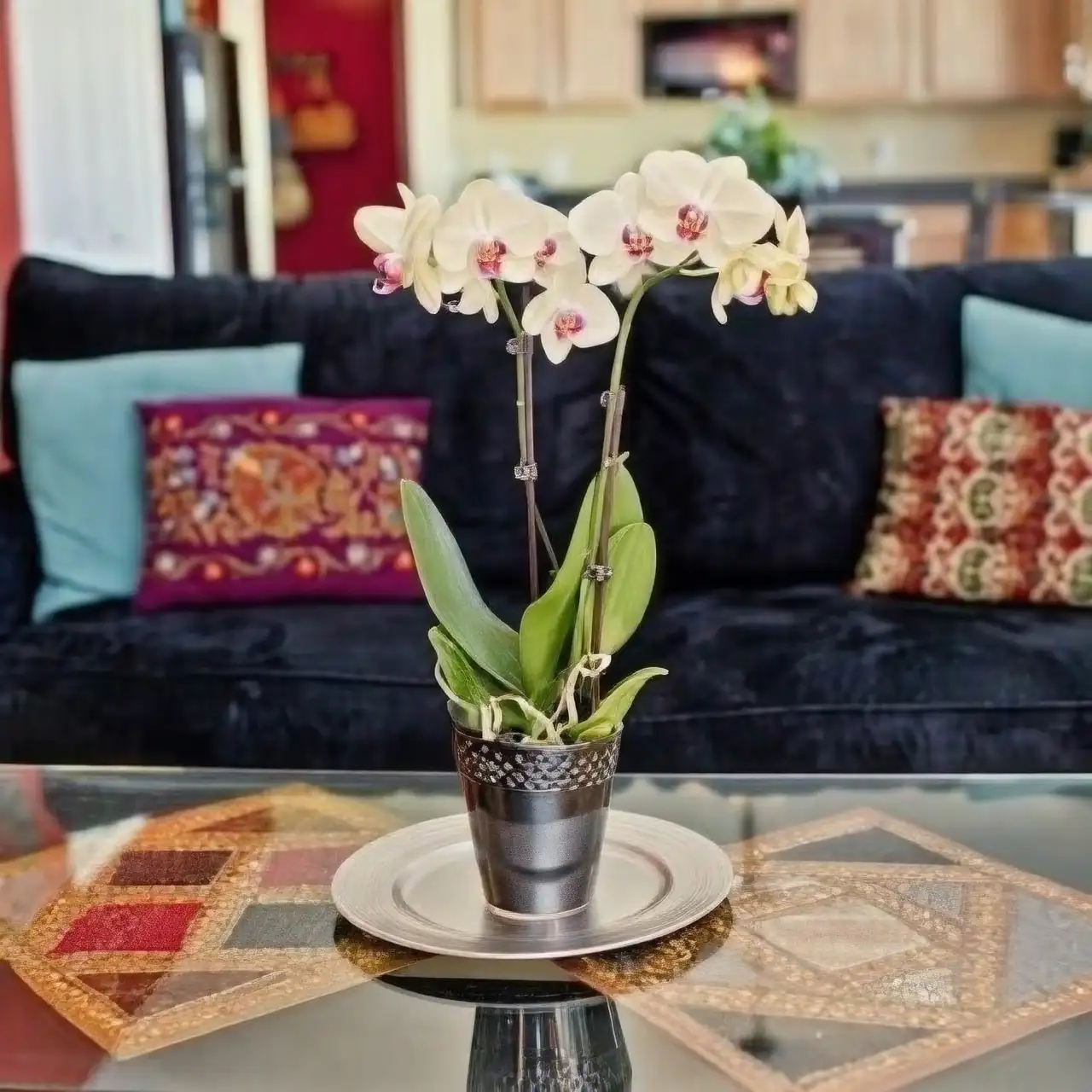 orchid as home decor