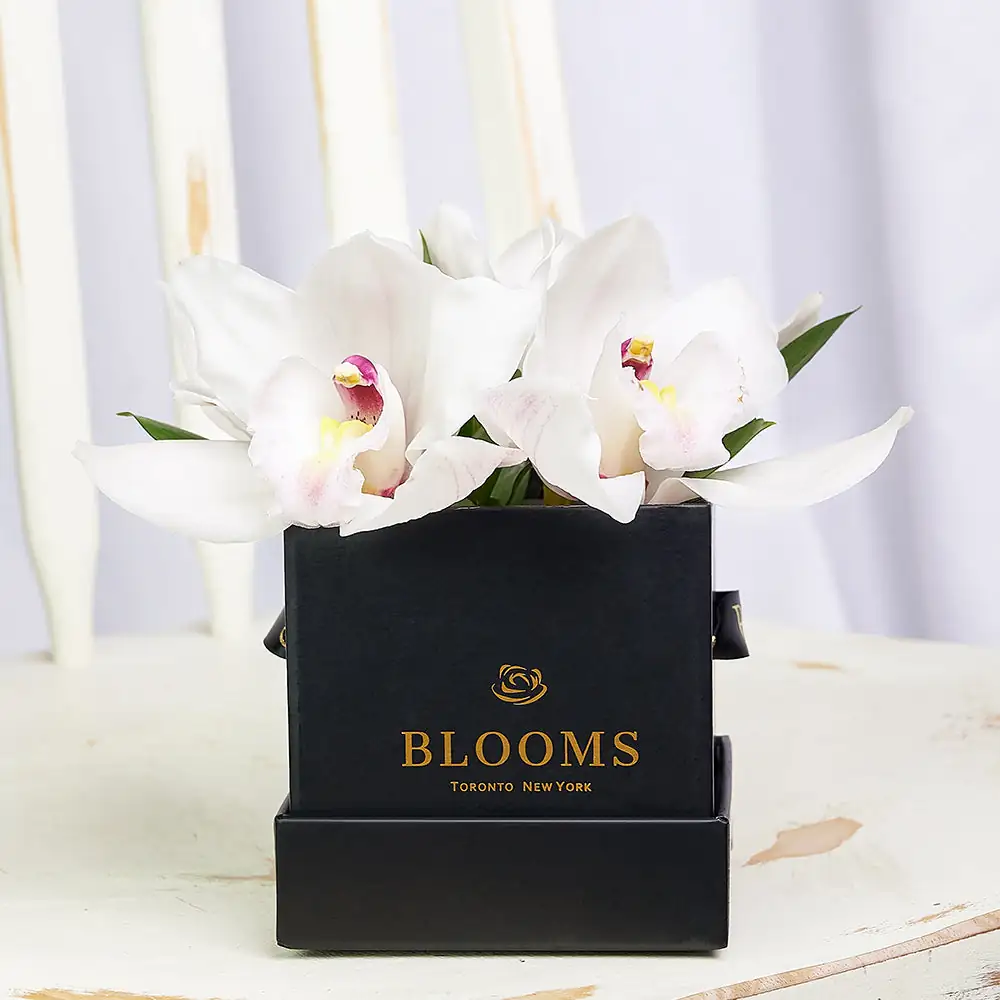 white orchid gift box