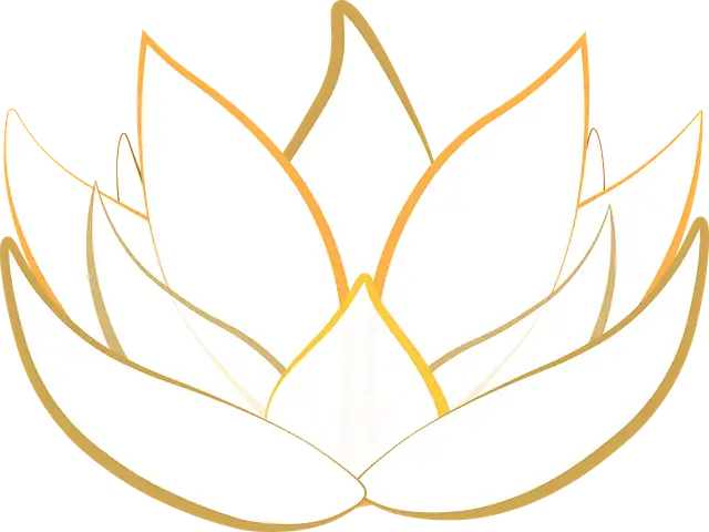 lotus on sunny balcony