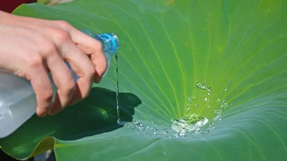 self-cleaning materials inspired by lotus