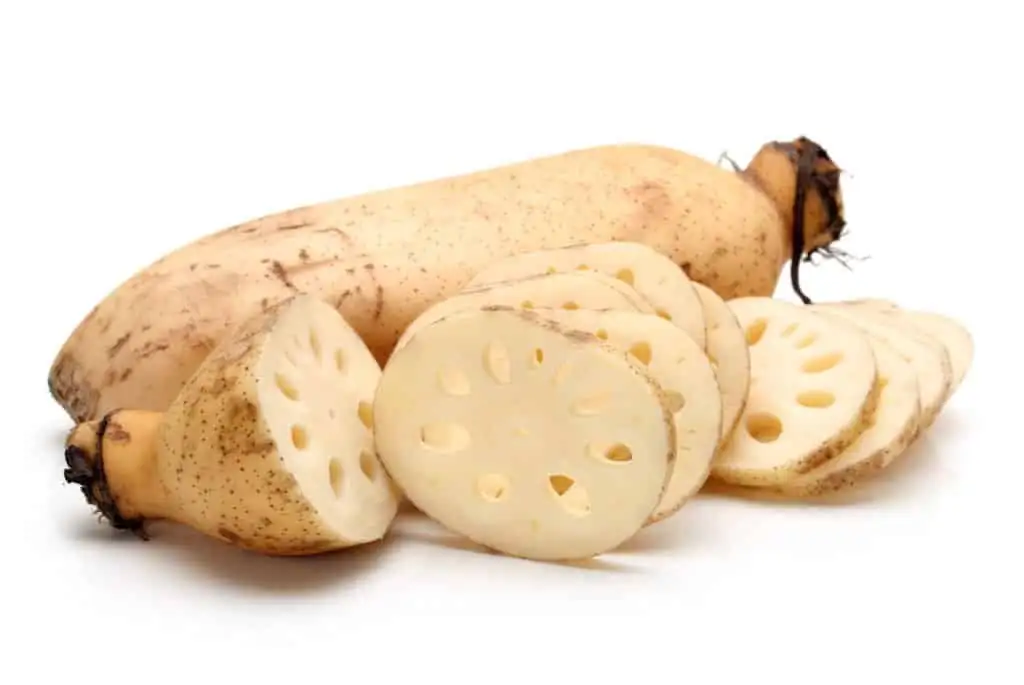 lotus rhizome preparation