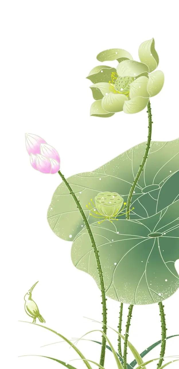 lotus in Chinese art