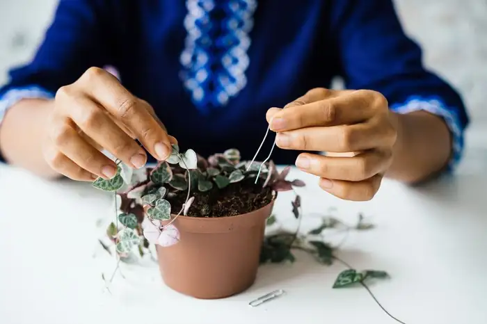 string of hearts layering method