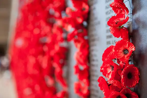 red poppies on battlefield memorial