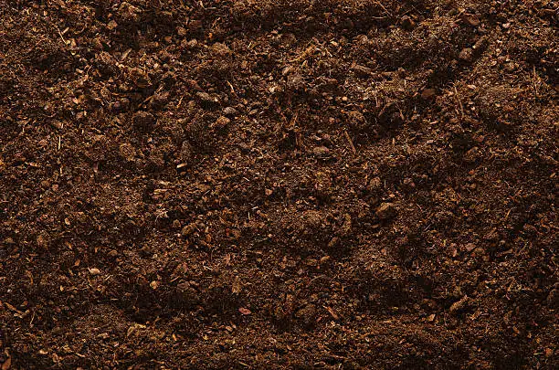 thyme soil drainage setup