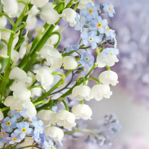 lily of the valley bridal bouquet