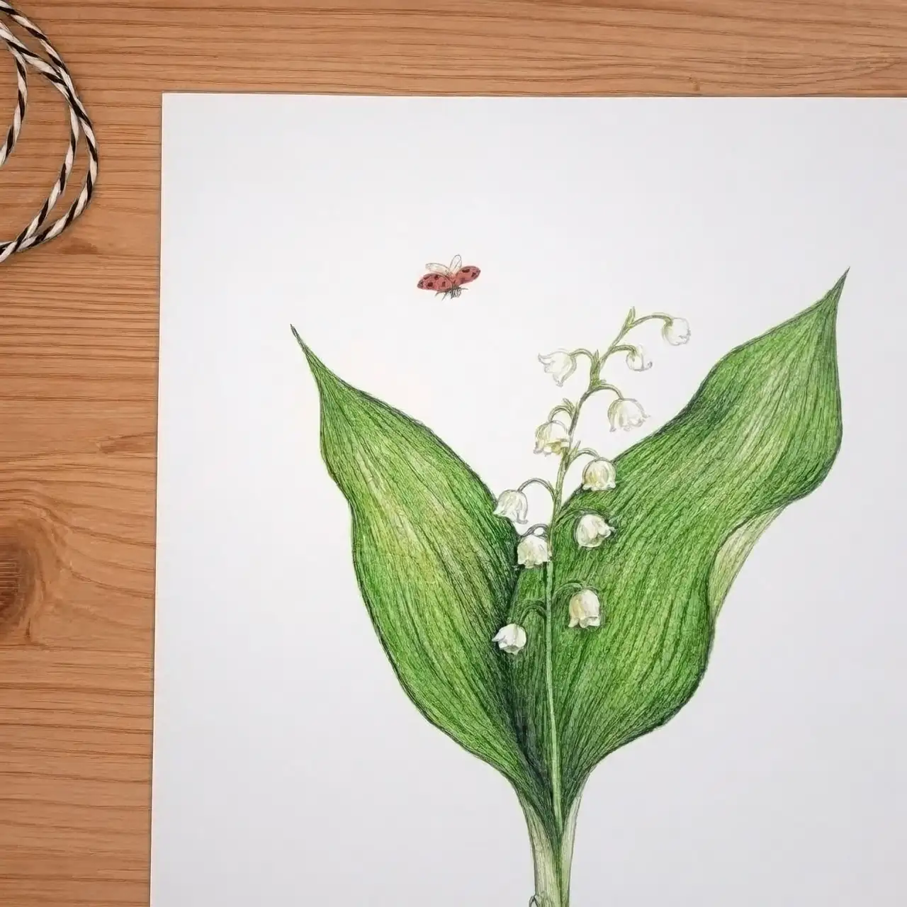 lily of the valley mythology illustration