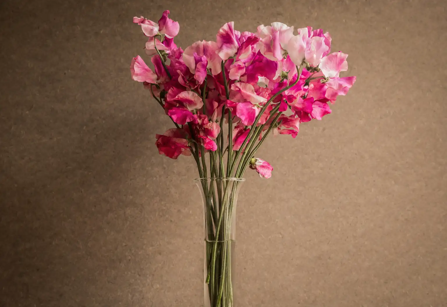 sweet pea bouquet wedding