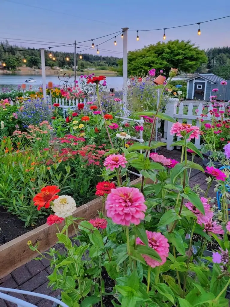 cosmos garden layout
