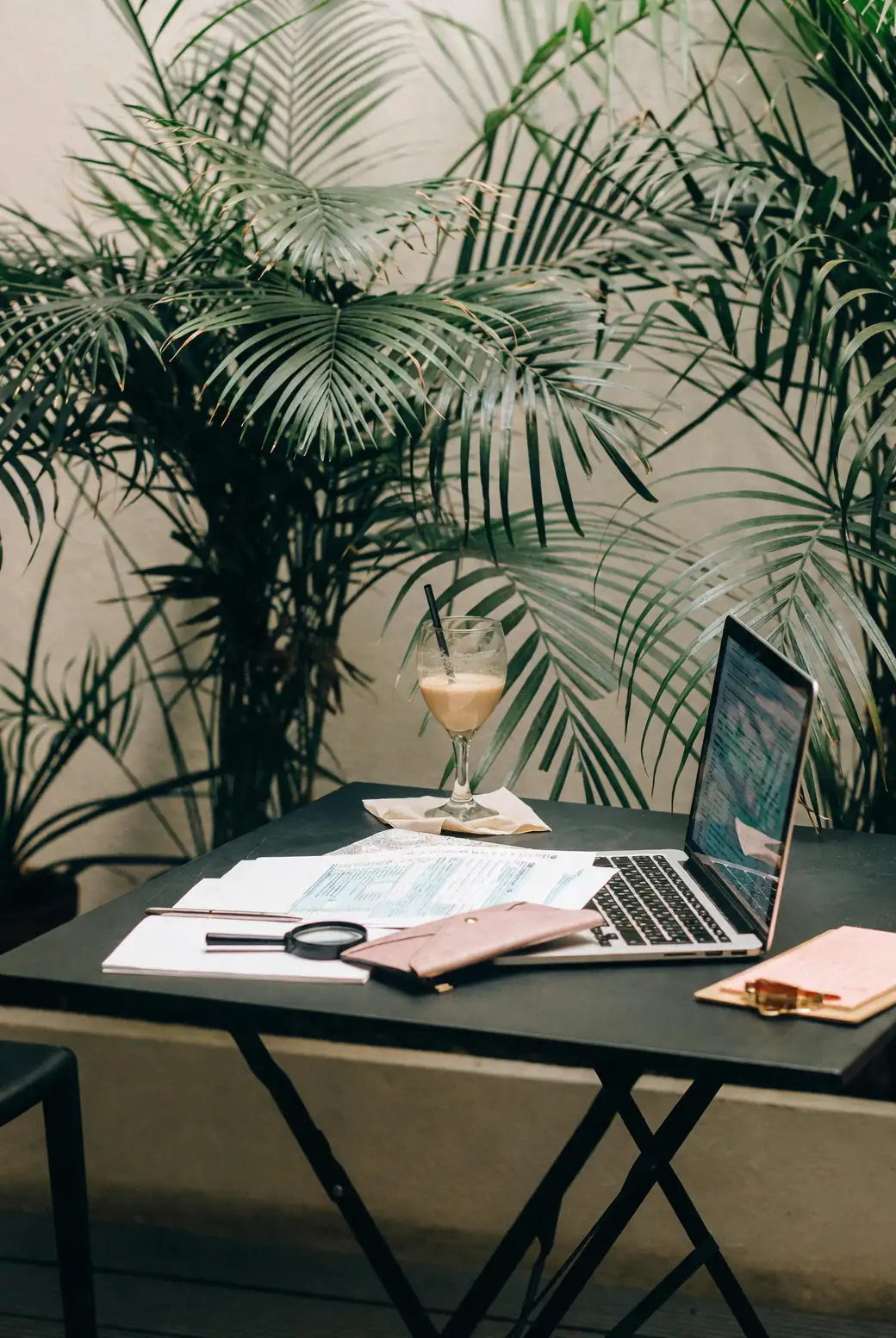 areca palm in modern office