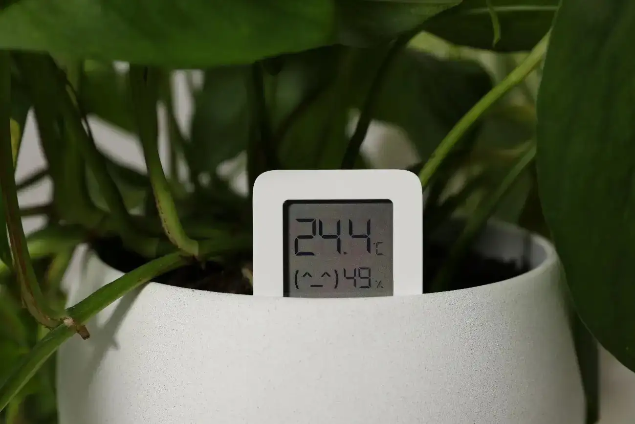 Indoor plant temperature control