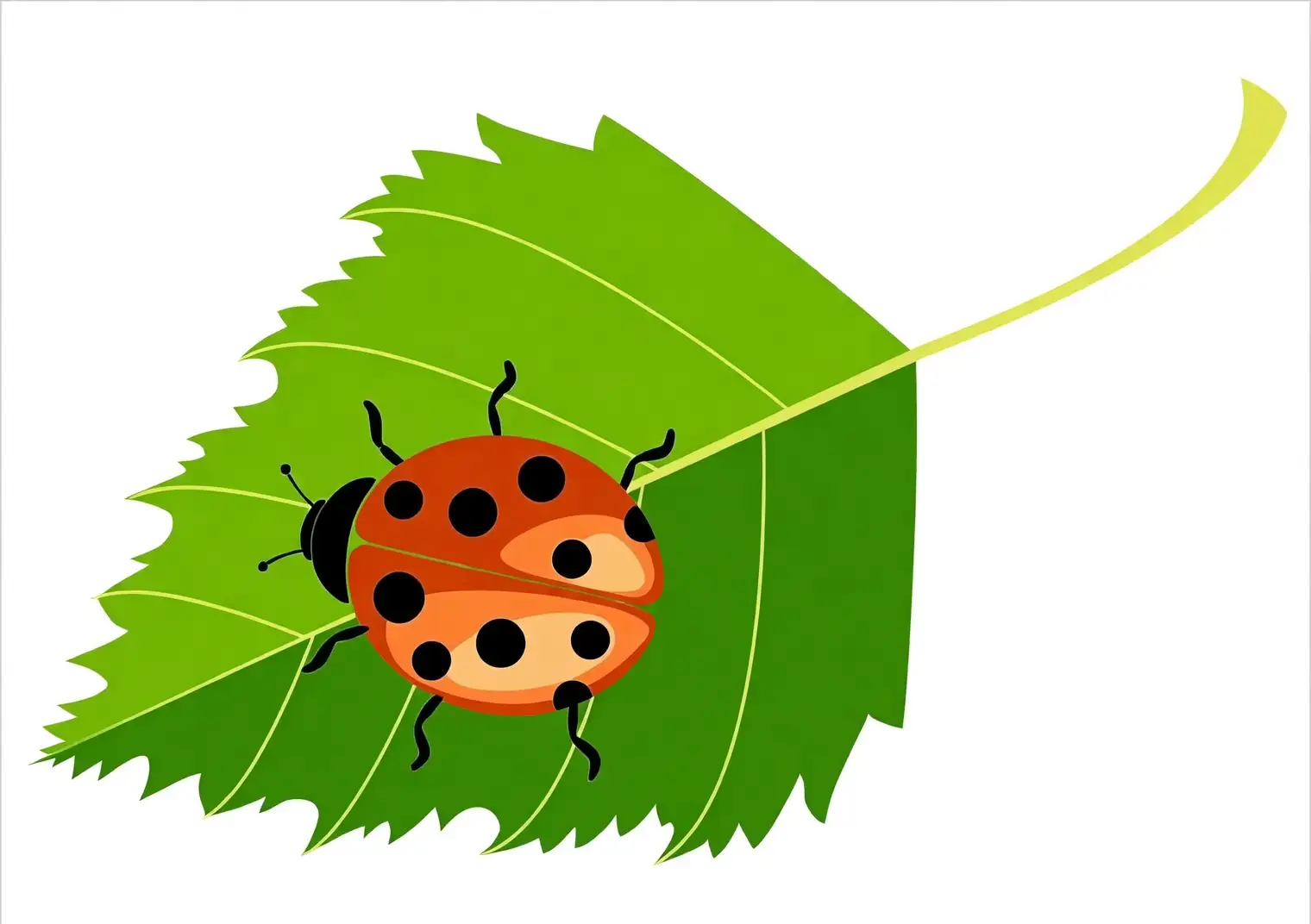 ladybug on gardenia leaf